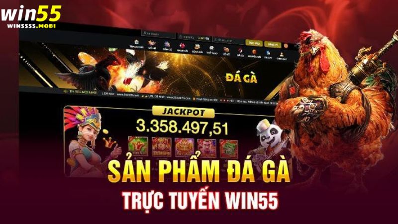 Cá cược đá gà hấp dẫn tại Win55