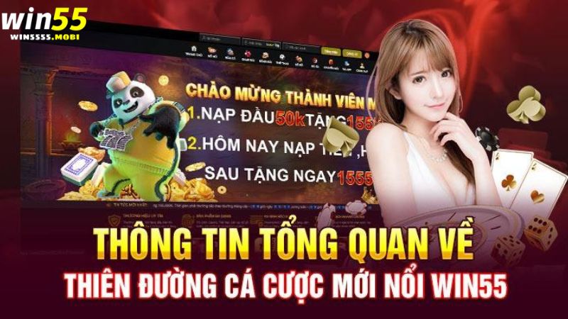 Thông tin chung nhất về nhà cái Win55